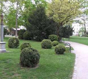 Riedergarten