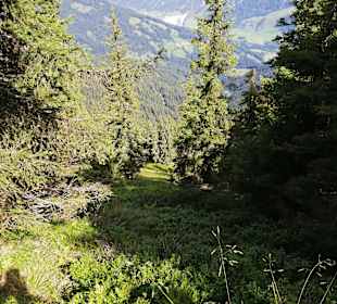 Wandern Leogang