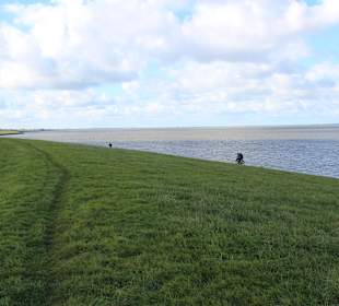 Strand Neuharlingersiel