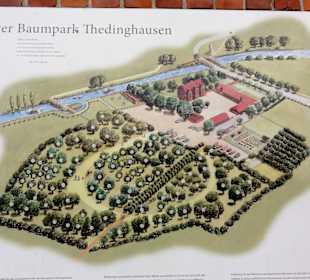 Übersichtsplan des Baumpraks