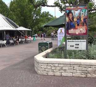 Themenbereich England