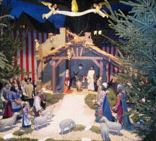 Grippe am Hauptmarkt