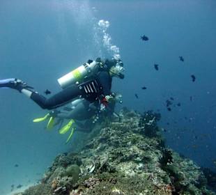 Tauchplatz "Madivaru Corner"