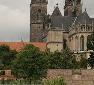 Elbe-Fahrt mit einem Schiff der Weißen Flotte