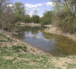 Sport- und Freizeitpark Markwasen