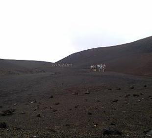 Nationalpark Timanfaya (Feuerberge)