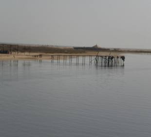 Anlegestelle auf Flamingoinsel