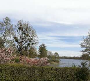 Saar-Hunsrück Steig in Losheim am See
