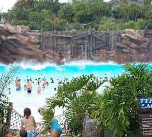 hier kommt die Welle