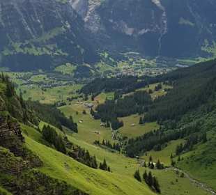 Schöner Weg