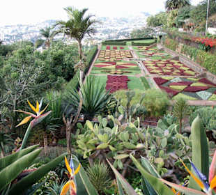 Botanischer Garten