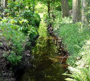 Impressionen vom Rundweg durch den Park