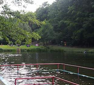 Bärenlochweiher in Kindsbach