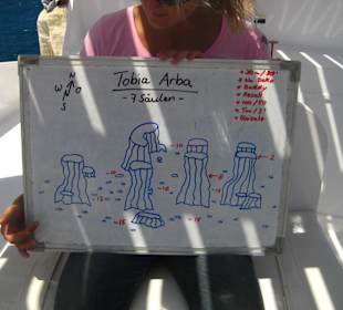 Tobia Arba