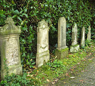 Кладбище Ольсдорф, Гамбург, 16 сентября 2013 года