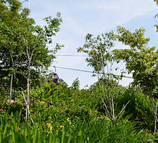 Sentosa Island