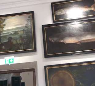 Ausstellung Sittikus