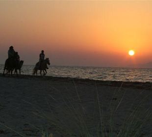 Sonnenuntergang mit Reitern