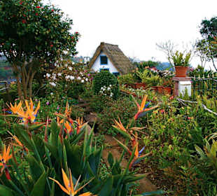Madeira: Santana-Häuschen