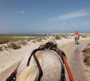 Ausflug zur Flamingoinsel