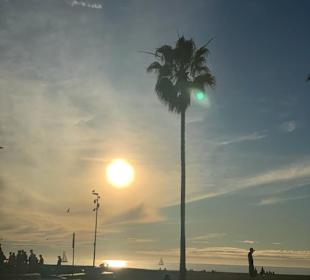 Am Santa Monica Peer