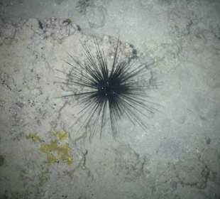 Фото с пирса