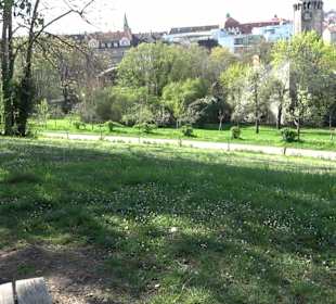 Rosengarten Villa Berg