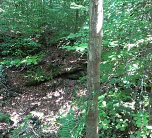Premiumwanderweg "hochgesprudelt"