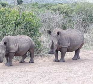 Ätsch - wir sind zu zweit !