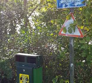 Hund darf mit um den See