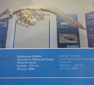 Ausflug nach La Graciosa