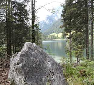 Zauberwald und Hintersee