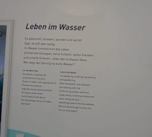 Museum für Naturkunde