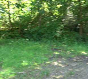 Eduard Lucas Musterobstgarten Mähringen