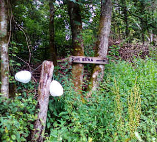 Burg Wilenstein in Trippstadt
