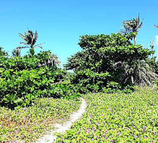 Stadtstrand Kenting City