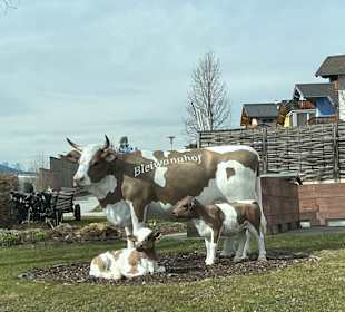 Wandern Haus im Ennstal