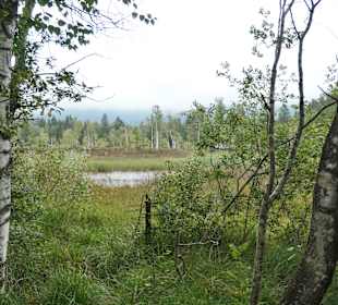 Unterwegs auf dem Moor-Erlebnis-Pfad von Inzell 