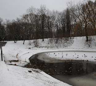 Park Moczydło zimą
