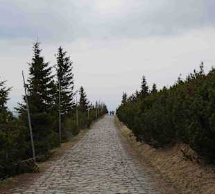 Berg Schneekoppe/Śnieżka