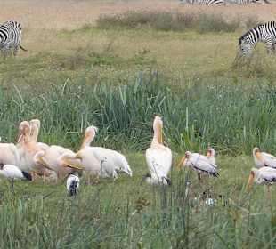 Hier verträgt man sich