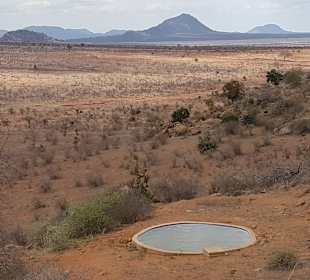 Tsavo Ost und West Safari