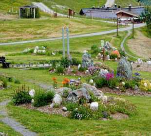 Alpenblumen