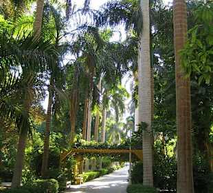 Botanischer Garten