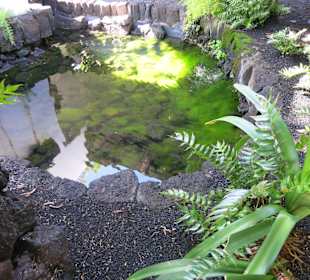 Gebaut von César Manrique