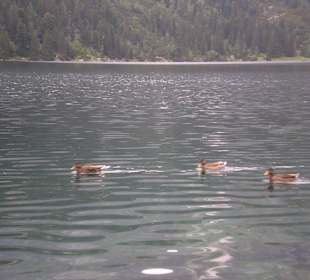 Tatrzański Park Narodowy