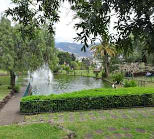 Am Teich des Parque de Santa Catarina