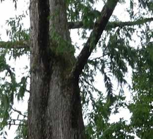 Kneipp Anlage Kressbronn