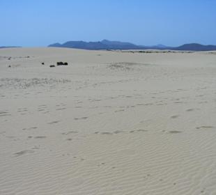 Sand dunes spiaggia