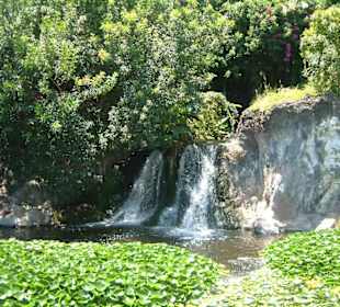 Loro Parque